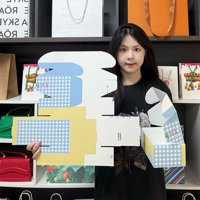 Long color printed corrugated airplane box