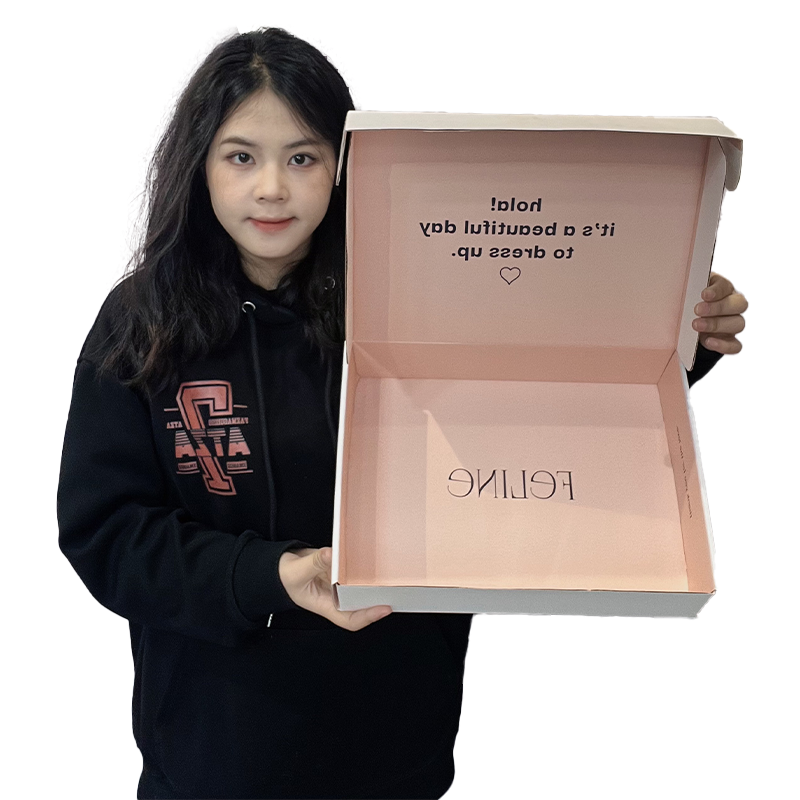 Large size internal and external printed aircraft box