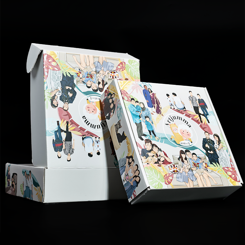 Full pattern printed corrugated airplane box