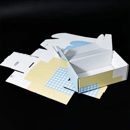 Long color printed corrugated airplane box