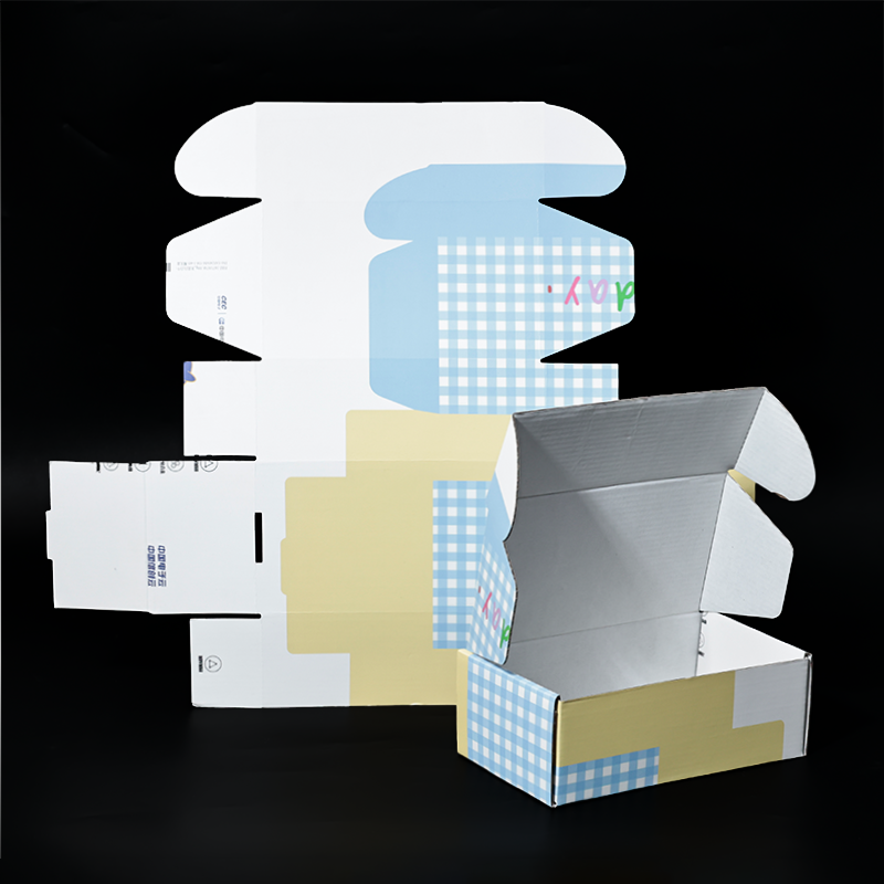 Long color printed corrugated airplane box