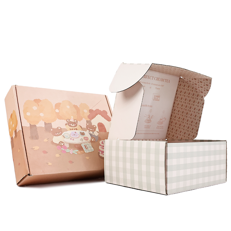 Macaron color airplane box