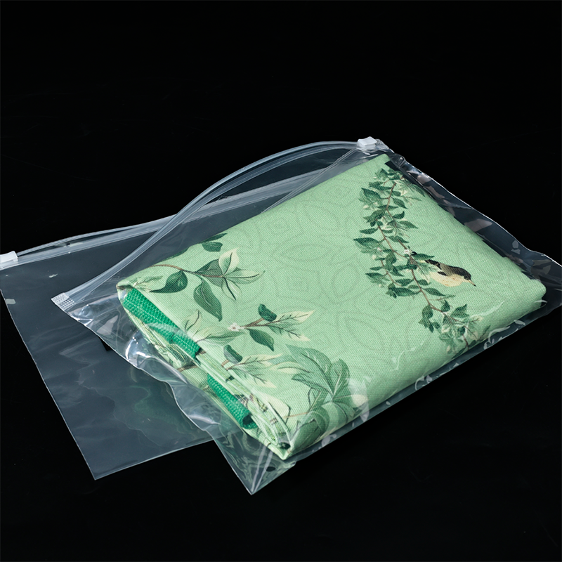 Transparent plastic ziplock bag