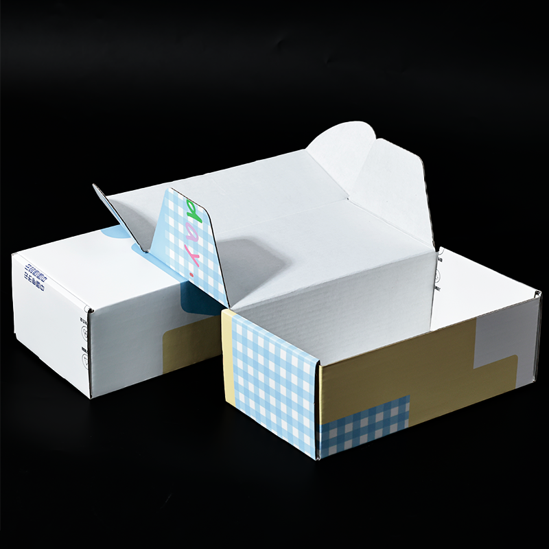 Long color printed corrugated airplane box