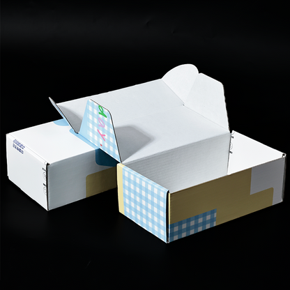 Long color printed corrugated airplane box