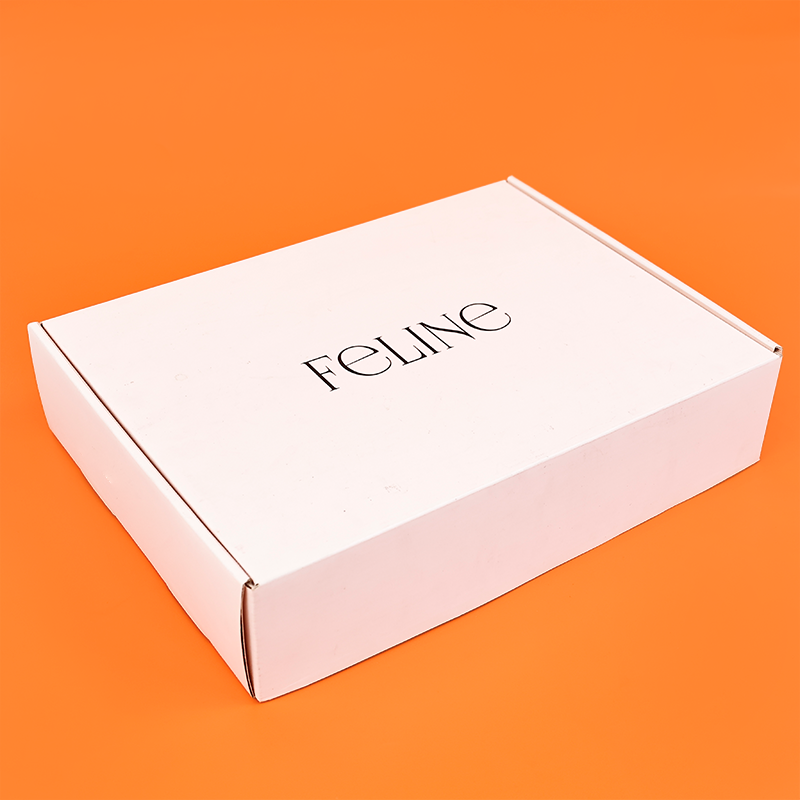 Large size internal and external printed aircraft box