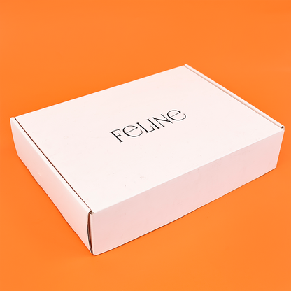 Large size internal and external printed aircraft box
