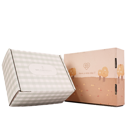 Macaron color airplane box