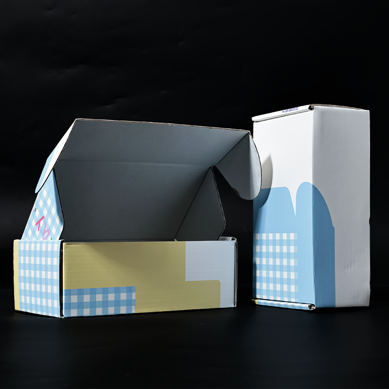 Long color printed corrugated airplane box