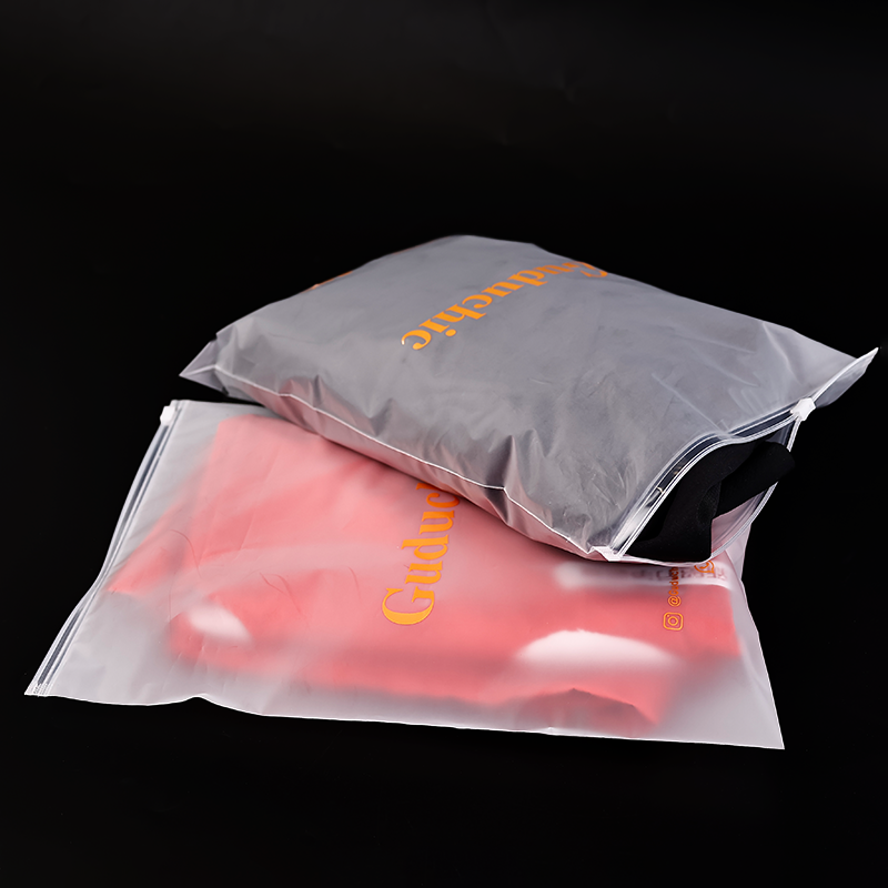 Guduchic Transparent Frosted Zipper Bag