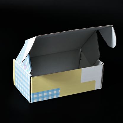 Long color printed corrugated airplane box