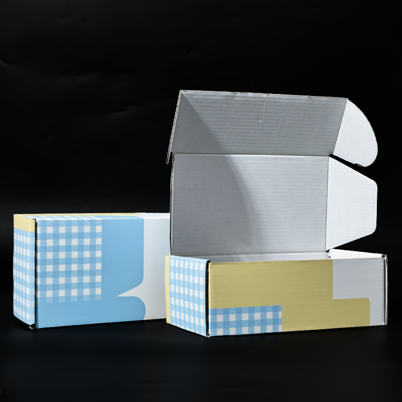 Long color printed corrugated airplane box