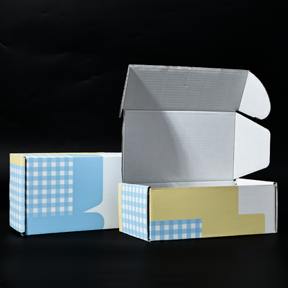 Long color printed corrugated airplane box