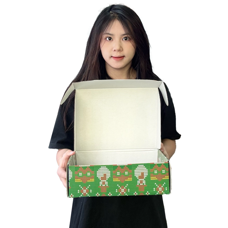Full version of the Christmas pattern corrugated airplane box