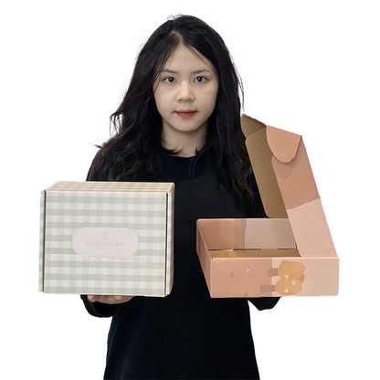 Macaron color airplane box