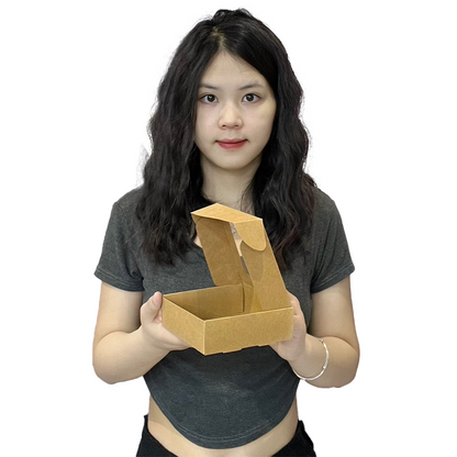Kraft paper transparent skylight design airplane box