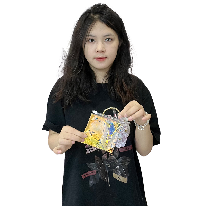 Small size laser zipper bag