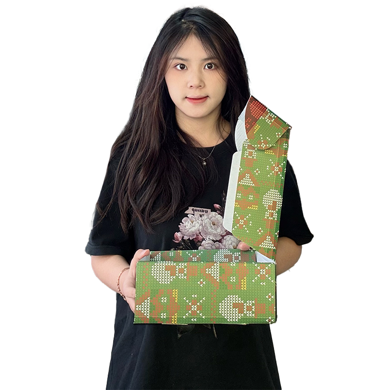 Full version of the Christmas pattern corrugated airplane box