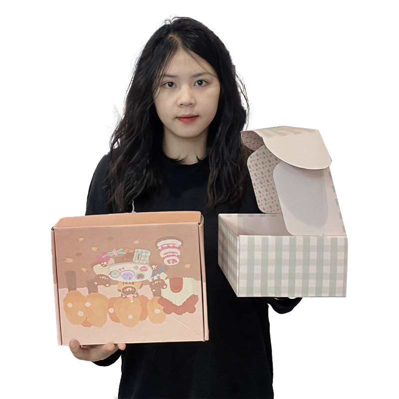 Macaron color airplane box