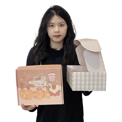 Macaron color airplane box