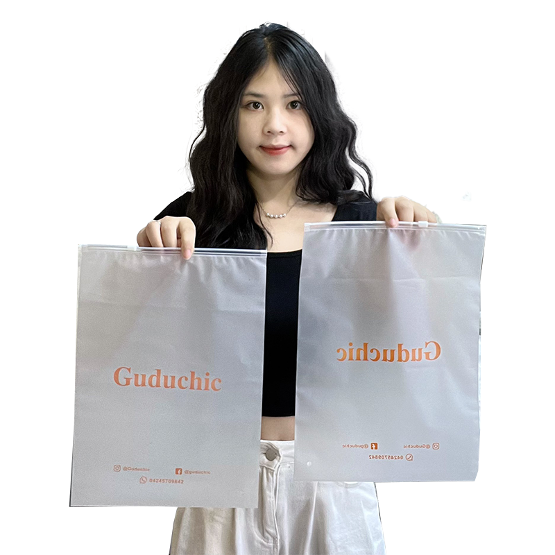 Guduchic Transparent Frosted Zipper Bag